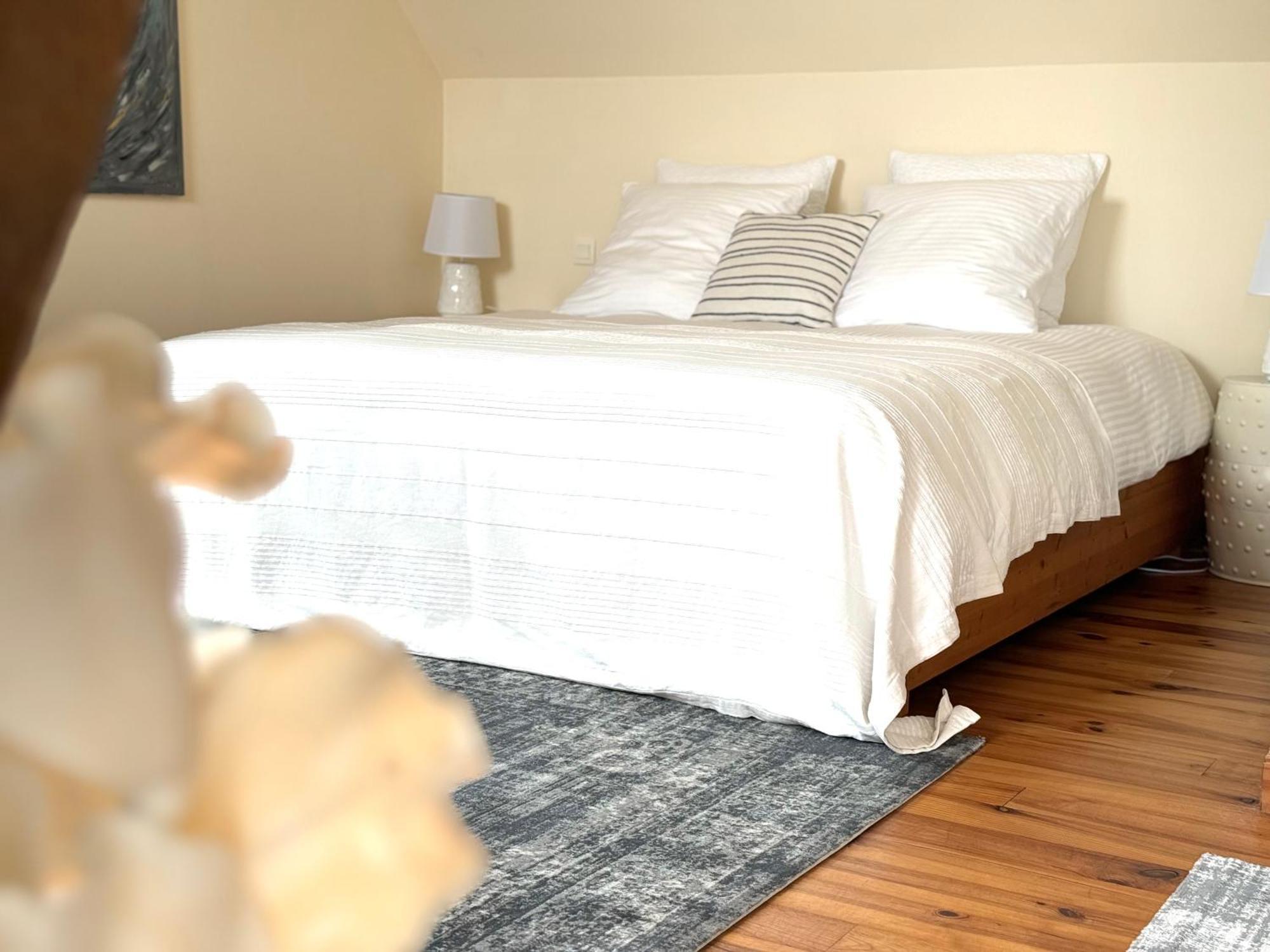 Le Moulin D Olivet Bed and Breakfast Orbigny Εξωτερικό φωτογραφία