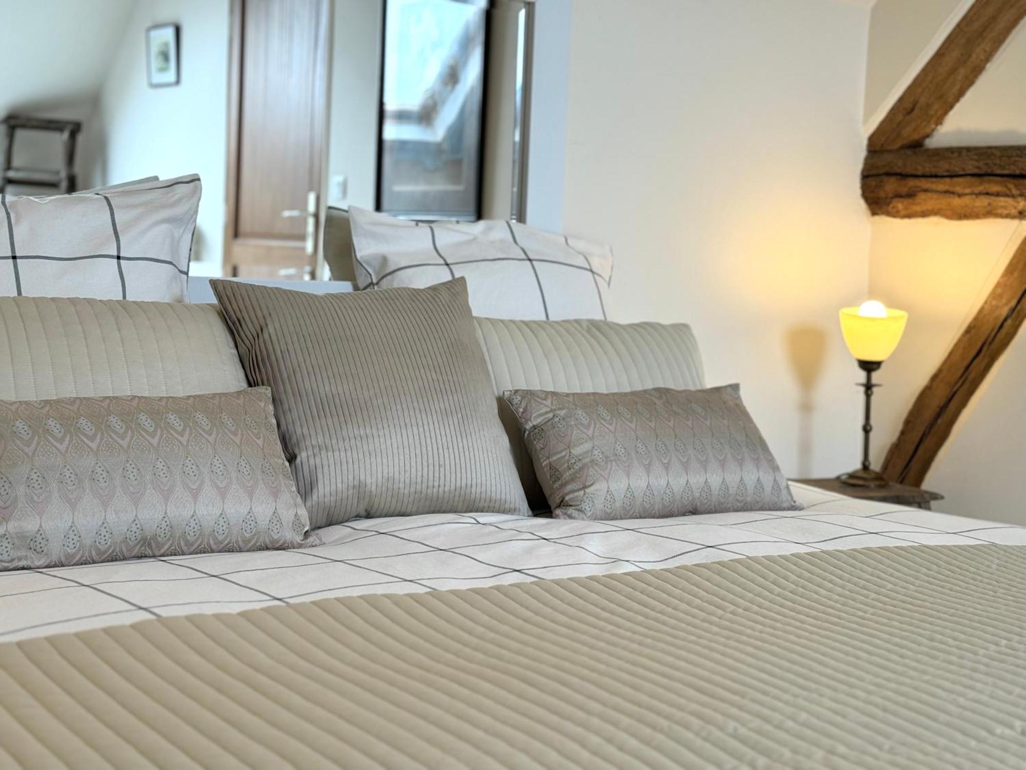 Le Moulin D Olivet Bed and Breakfast Orbigny Εξωτερικό φωτογραφία